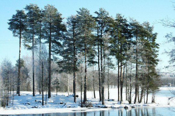 Echter Winter in Dalarna/Schweden, 2009